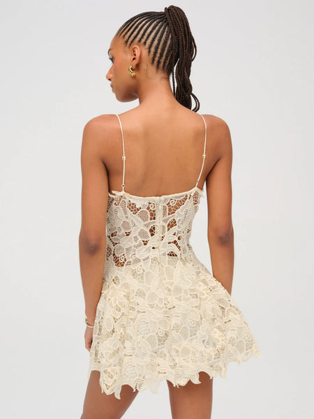 Coco Lace Sleeveless Mini Dress