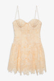 Coco Lace Sleeveless Mini Dress