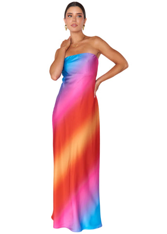 Taylor Tube Maxi Dress